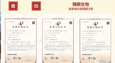 678体育生物 | 核心平台技术获得中国发明专利