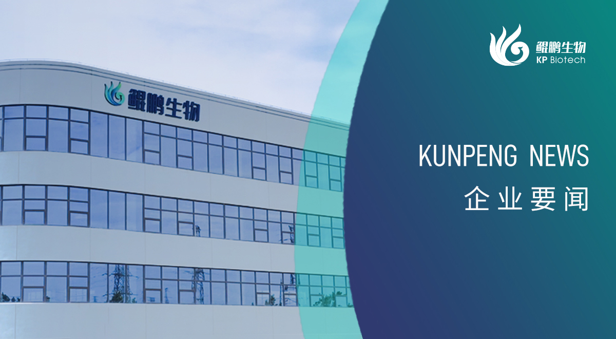 宁波678体育新添两项政府荣誉认定 创新发展再获认可